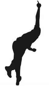 What Is A Flipper In Cricket? Definition & Meaning On SportsLingo.com